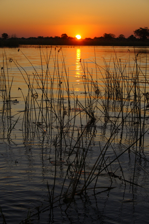 Sunset over Okavango Delta~ Botswana ~ African Safari Photography : Namibia and Botswana Photography : Brian Jorg Outdoors